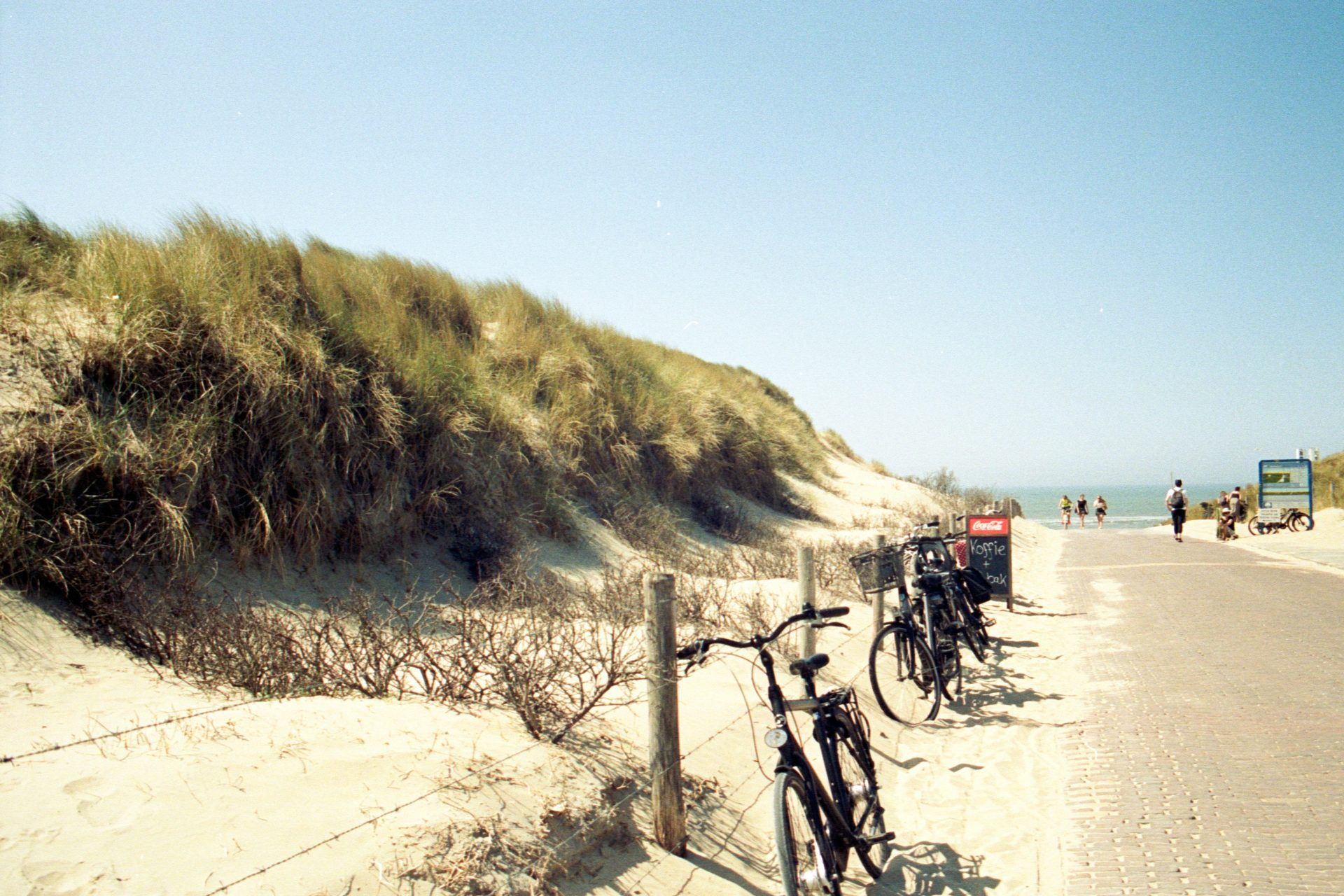 grüner, grasbewachsener Hügel in der Nähe eines Gewässers bei Tageslicht